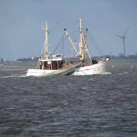 Seeschloesschen Nr 7 Lejlighed *
